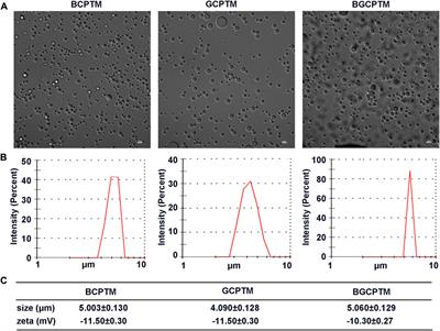 Phospholipid-mimicking block, graft, and block-graft copolymers for phase-transition microbubbles as ultrasound contrast agents